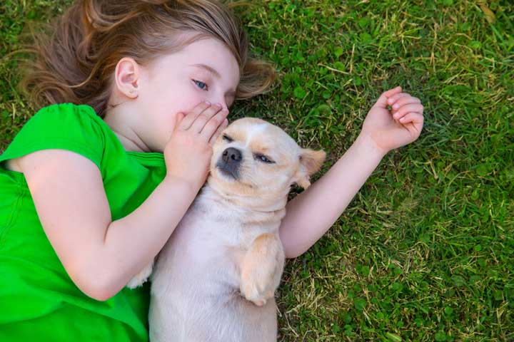 Be A Pet Lover And Assume Your Pets Use Human Speech