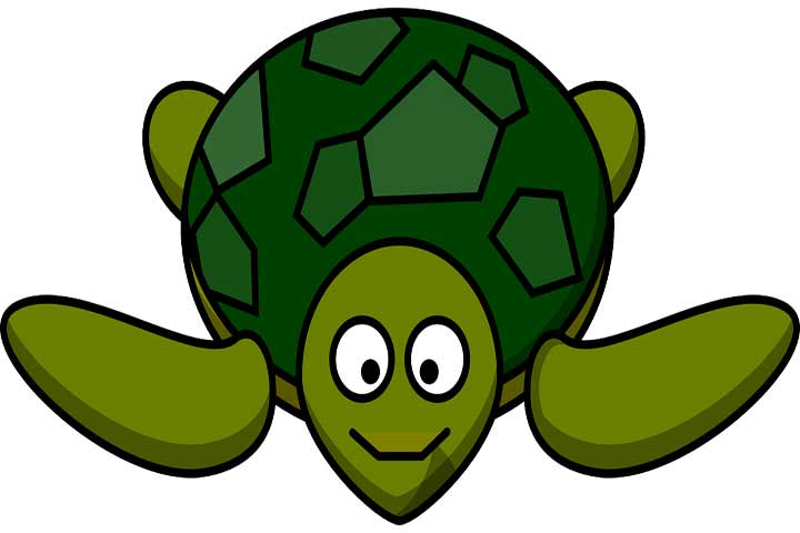Let's Build A Carton Turtle