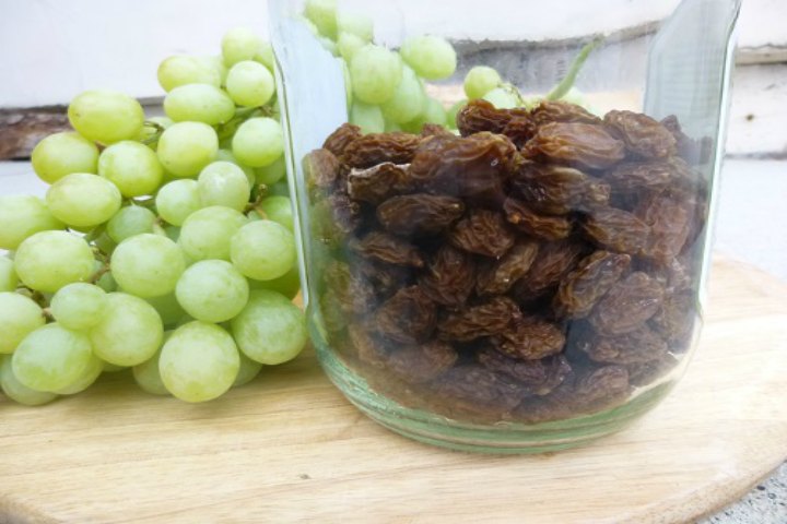 Look! Grapes Turn Into Raisins!